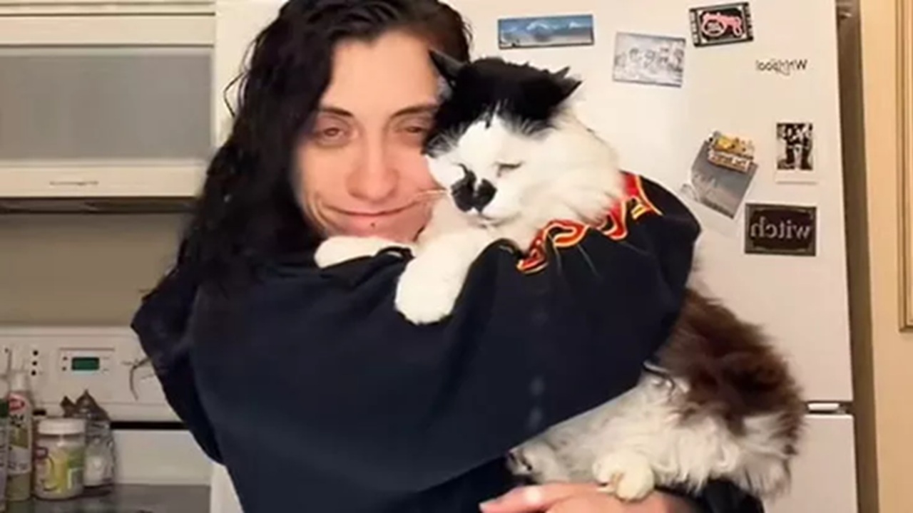 vicino casa morte gatto