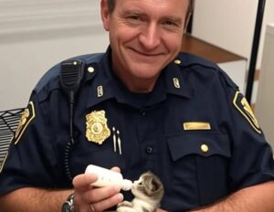 Poliziotto trova un gattino e fa di tutto per aiutarlo
