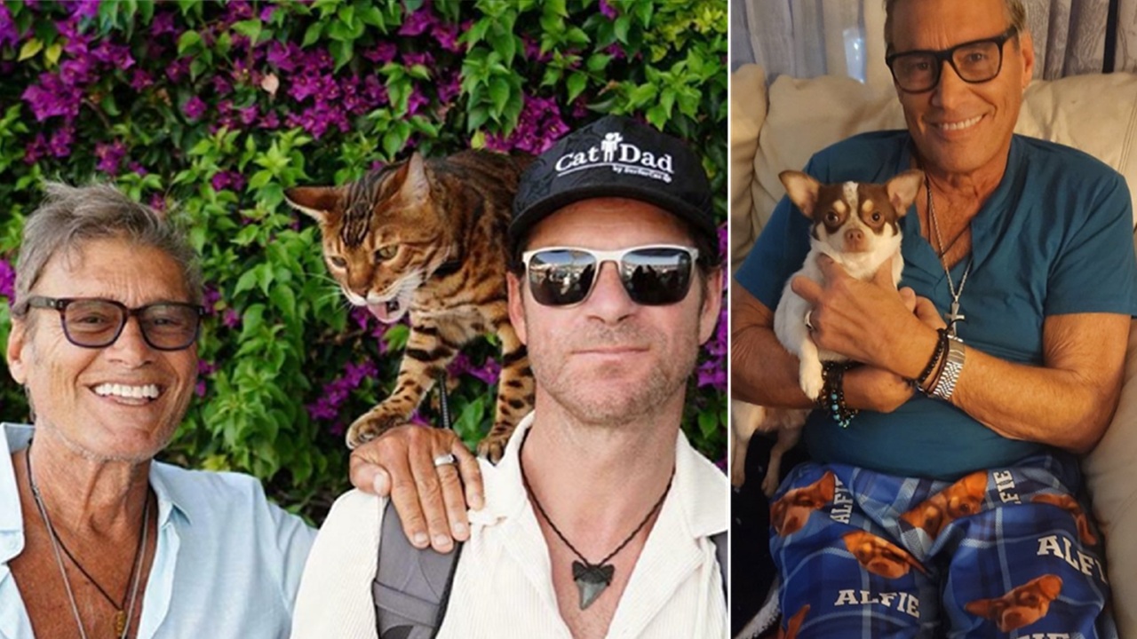Gatto Ischia Steven Bauer