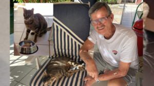Gatto scomparso l’estate scorsa tornato nella casa vacanze dopo un anno: una storia a lieto fine