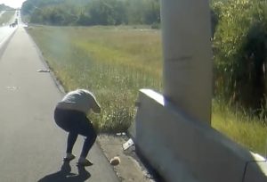 Gattino sul ciglio della strada sembra privo di vita: poi il miracolo